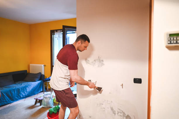 Best Industrial Mold Remediation in Gardena, CA